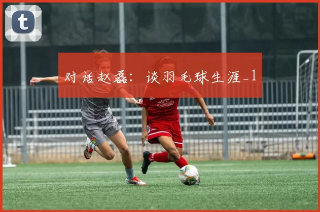 对话赵磊：谈羽毛球生涯_1