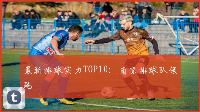 最新排球实力TOP10：南京排球队领跑