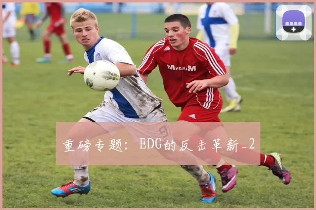重磅专题：EDG的反击革新_2