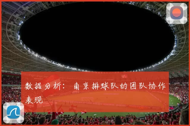 数据分析：南京排球队的团队协作表现