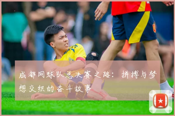成都网球队总决赛之路：拼搏与梦想交织的奋斗故事