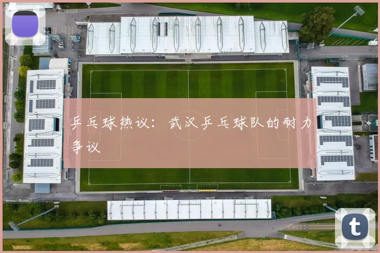 乒乓球热议：武汉乒乓球队的耐力争议