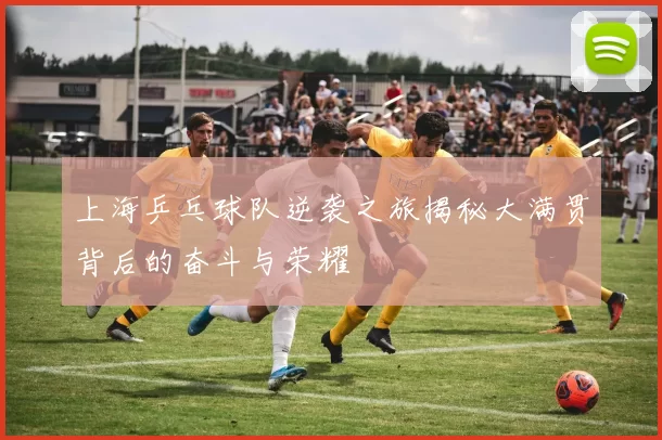 上海乒乓球队逆袭之旅揭秘大满贯背后的奋斗与荣耀