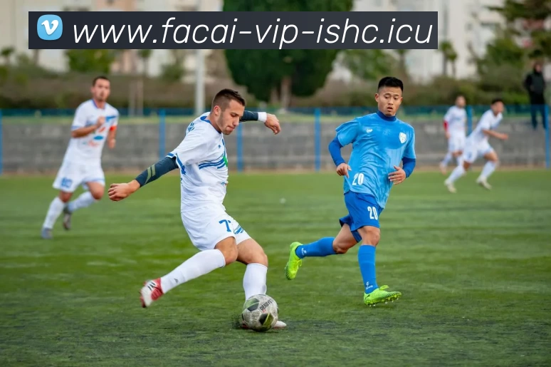 华体会体育服务体系